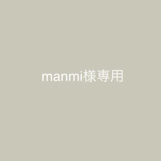 manmi様専用(ポーチ)