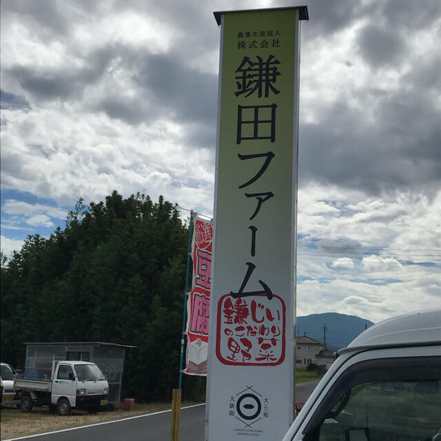 農家直送　奈良県産にんにくバラ売り 食品/飲料/酒の食品(野菜)の商品写真