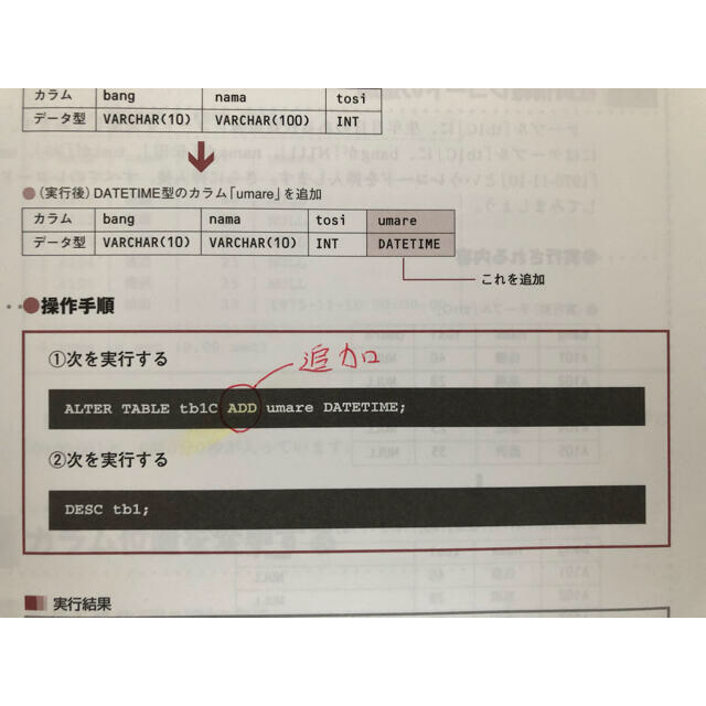 基礎からのMySQL プログラマの種シリーズ エンタメ/ホビーの本(コンピュータ/IT)の商品写真