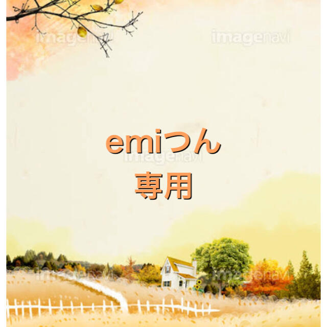 emiつん専用❤️
