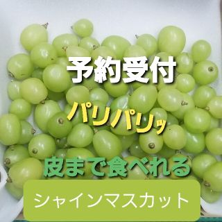 予約受付け山梨県産　種無しシャインマスカット　粒1㎏(フルーツ)