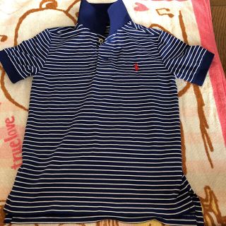 ポロラルフローレン(POLO RALPH LAUREN)のpolo青色ボーダーTシャツ(Tシャツ/カットソー)