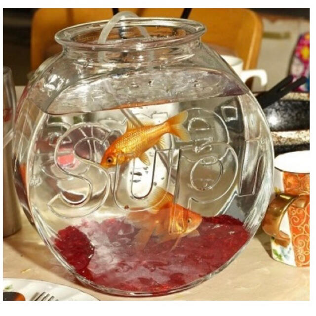 supreme  2020FW  Fish Bowl