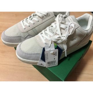 ラコステ(LACOSTE)のラコステ＊ウィメンズ T-CLIP 120 3 US(スニーカー)