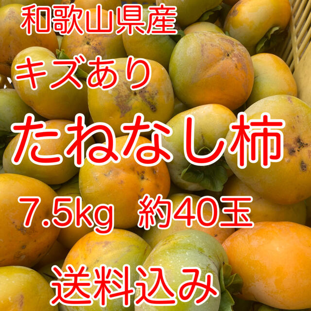 和歌山県産　たねなし柿　キズあり　家庭用　送料込み 食品/飲料/酒の食品(フルーツ)の商品写真