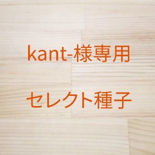 kant-様専用　セレクト種子　12袋(野菜)