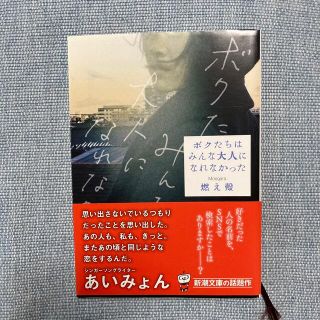 【Ty様専用】ボクたちはみんな大人になれなかった(文学/小説)