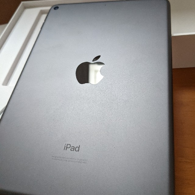 iPad mini 第5世代 スペースグレイ wifiモデル 2