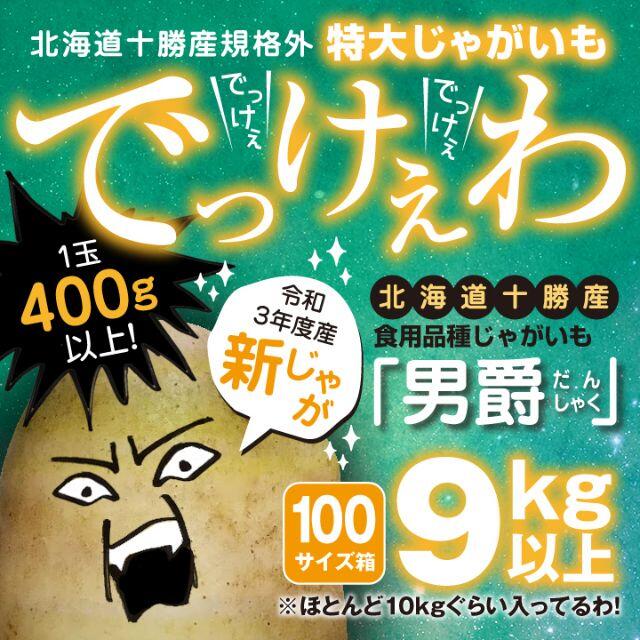 新じゃが9kg以上【北海道十勝産男爵】規格外超特大サイズ【意外とレア】土付き 食品/飲料/酒の食品(野菜)の商品写真