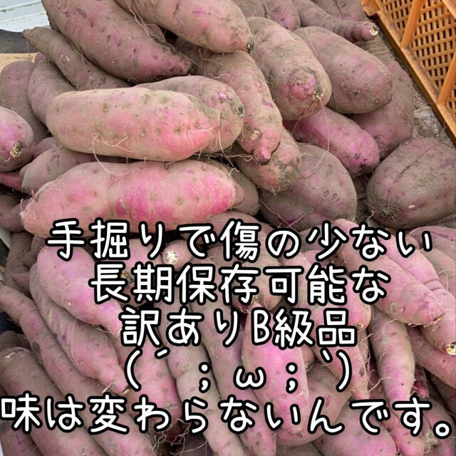 鹿児島県産　べにはるか　紅はるか　20kg B品　サツマイモ　さつまいも 食品/飲料/酒の食品(野菜)の商品写真