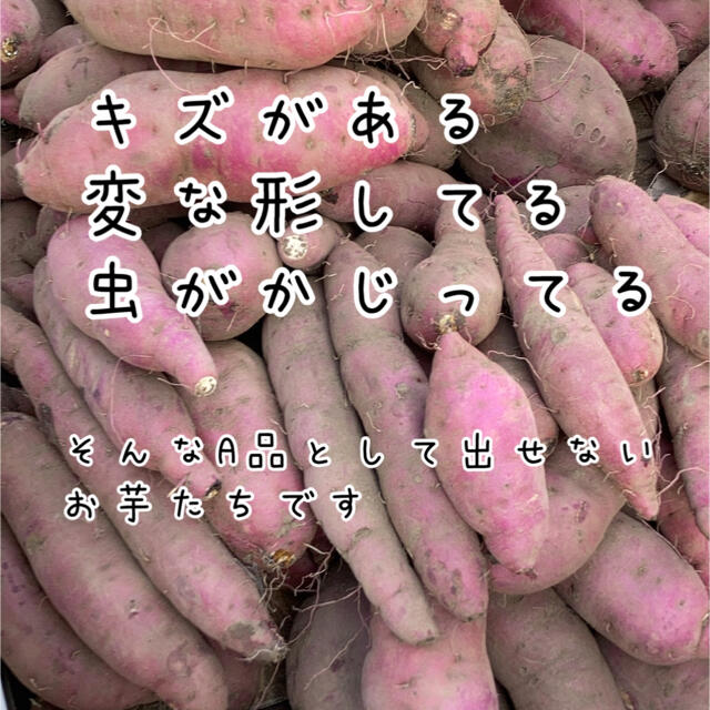 鹿児島県産　べにはるか　紅はるか　20kg B品　サツマイモ　さつまいも 食品/飲料/酒の食品(野菜)の商品写真