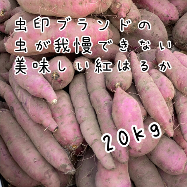 鹿児島県産　べにはるか　紅はるか　20kg B品　サツマイモ　さつまいも 食品/飲料/酒の食品(野菜)の商品写真