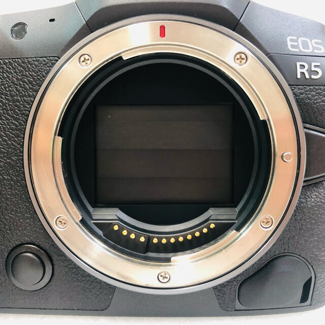 Canon(キヤノン)の【極美品】CANON EOS R5 ボディ ミラーレス一眼 カメラ フルサイズ スマホ/家電/カメラのカメラ(ミラーレス一眼)の商品写真