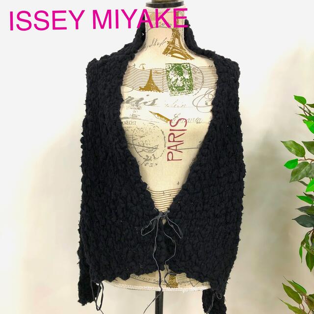 ISSEY MIYAKE イッセイミヤケ ボレロカーディガン 3349-