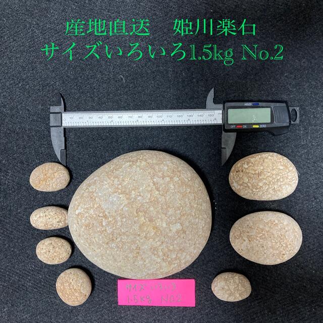 セットアップ 産地直送 癒しの姫川薬石 プチサイズ1.5kg No.1 ...