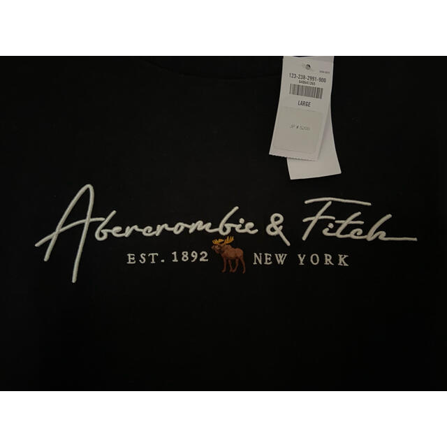 Abercrombie&Fitch(アバクロンビーアンドフィッチ)のアバクロンビー&フィッチ　Abercrombie & Fitch  Tシャツ メンズのトップス(Tシャツ/カットソー(半袖/袖なし))の商品写真