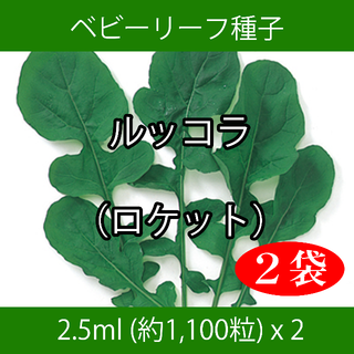 ベビーリーフ種子 B-29 ルッコラ（ロケット）2.5ml約1100粒 x 2袋(野菜)