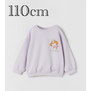 ザラキッズ(ZARA KIDS)の専用です　パウパトロール　ロングスリーブスウェットシャツ　4〜5歳110cm(Tシャツ/カットソー)