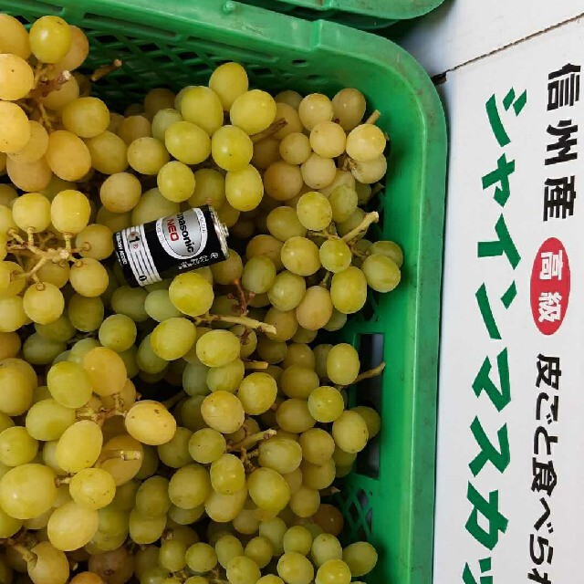 シヤインマシカット家庭用訳あり 食品/飲料/酒の食品(フルーツ)の商品写真