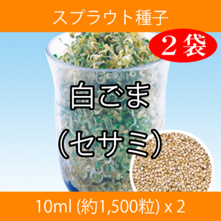 スプラウト種子 S-15 白ごま（セサミ） 10ml 約1,500粒 x 2袋(野菜)