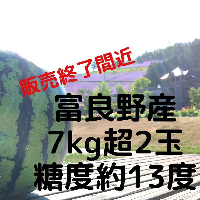 食品富良野産スイカ7kg超2玉  家庭用 訳あり商品 ハネ品