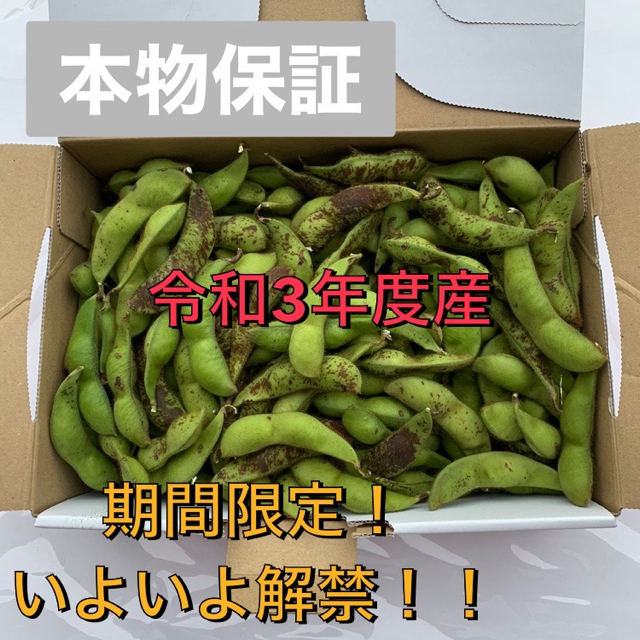 【早い者勝ち】【期間限定】【送料無料】丹波篠山産　黒枝豆　約800g 食品/飲料/酒の食品(野菜)の商品写真