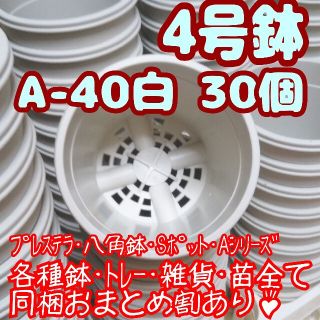 プラ鉢4号鉢【A-40】30個 スリット鉢 丸 プレステラ 多肉植物(プランター)