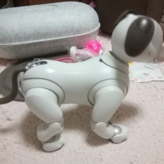 美品☆SONY aibo ERS-1000 アイボ 付き 付属品ありの通販 by さとう's