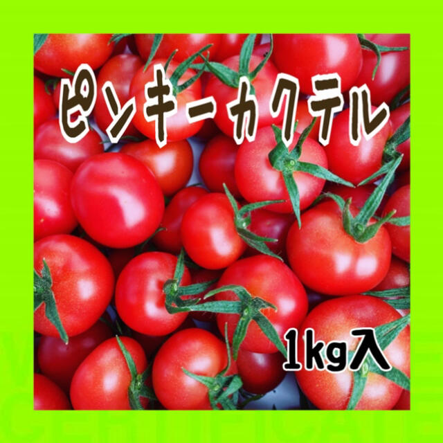 薄皮中玉トマト‼️ピンキーカクテル！60サイズの箱でお届け❗️ 食品/飲料/酒の食品(野菜)の商品写真