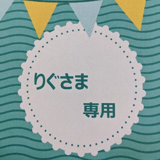 りぐさま専用　コジットファイル