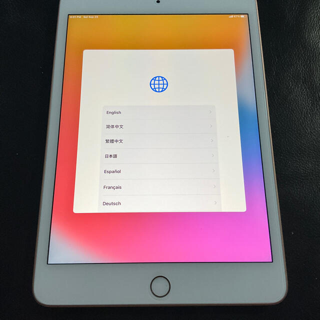 ☘️iPad mini5 セルラーモデル64GB ピンクゴールド かち ☘️iPad mini5 セルラーモデル64GB ピンクゴールド かち