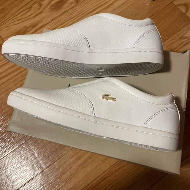 LACOSTE(ラコステ)の【新品】LACOSTE 白 スニーカー23cm レディースの靴/シューズ(スニーカー)の商品写真