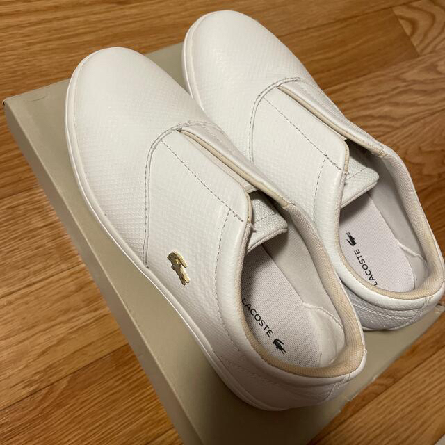 LACOSTE(ラコステ)の【新品】LACOSTE 白 スニーカー23cm レディースの靴/シューズ(スニーカー)の商品写真