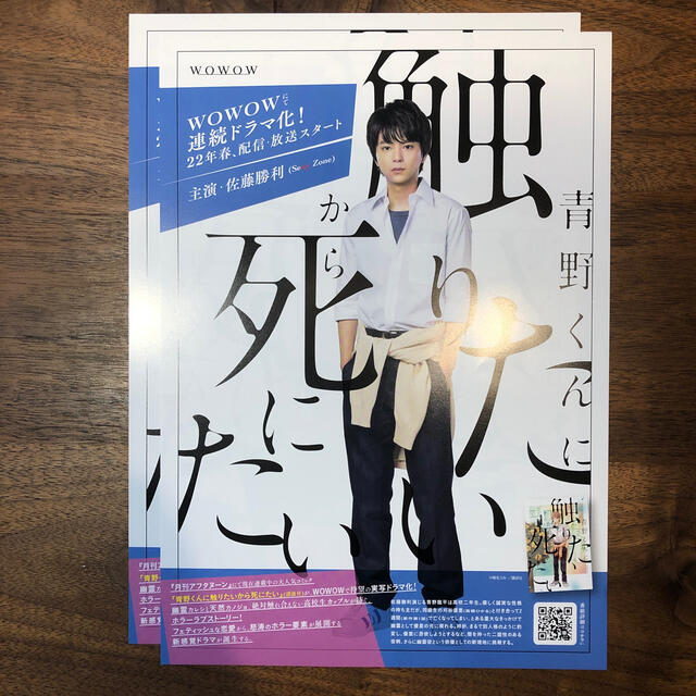 青野くんに触りたいから死にたい　フライヤー2枚セット　佐藤勝利 エンタメ/ホビーのコレクション(印刷物)の商品写真