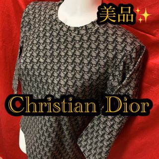 クリスチャンディオール(Christian Dior)の美品　Christian Dior トップス(Tシャツ(長袖/七分))