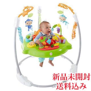 フィッシャープライス(Fisher-Price)の【新品未開封】インフォレスト・ジャンパルー II グリーン DTD91(ベビージム)