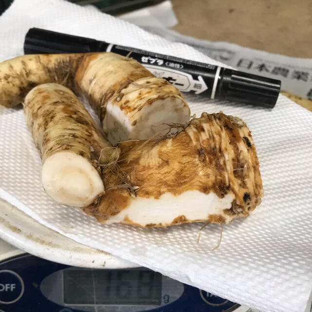 旨辛‼️北海道山わさび 200gの通販 by まるしゅん|ラクマ