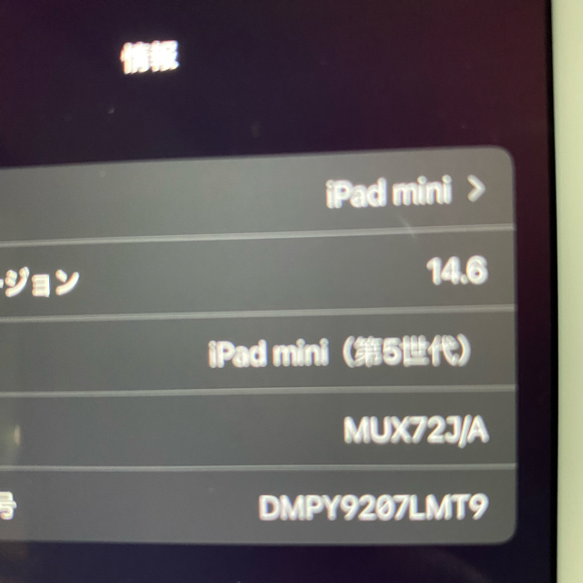 最終値下げ★超美品★ iPad mini5 Apple Pencil フィルム 6