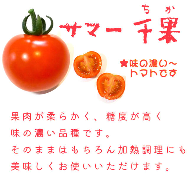 赤&イエロー 2kg  [農学博士のDr.トマト] 採れたて☘️ 食品/飲料/酒の食品(野菜)の商品写真