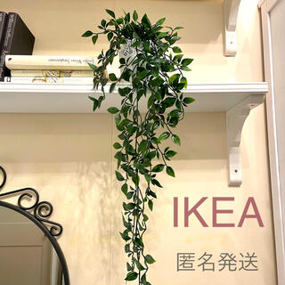 イケア(IKEA)の【新品】IKEA イケア フェイクグリーン 人工観葉植物 （フェイカ）(その他)