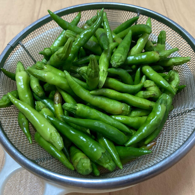 唐辛子　青唐辛子　30本 食品/飲料/酒の食品(野菜)の商品写真