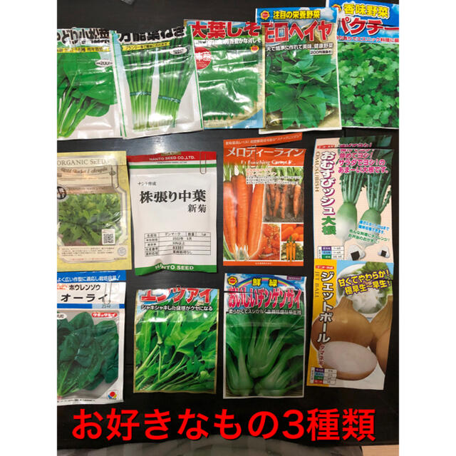 野菜の種　3種セット 食品/飲料/酒の食品(野菜)の商品写真