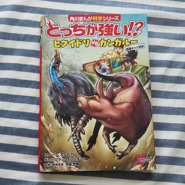 角川書店(カドカワショテン)のどっちが強い！？ヒクイドリｖｓカンガルー 最強キック対決 エンタメ/ホビーの本(絵本/児童書)の商品写真