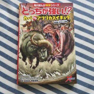 カドカワショテン(角川書店)のどっちが強い！？カバｖｓアフリカスイギュウ 超凶暴！体当たり決戦    中古美品(絵本/児童書)