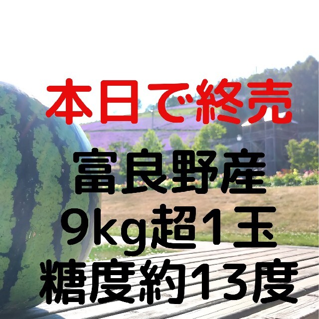 4個まで郵便OK 富良野産スイカ9kg超1玉 家庭用 訳あり商品 ハネ品 - 通販 - ssciindia.com