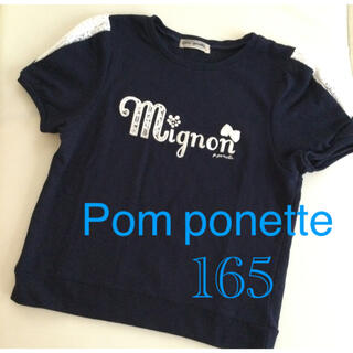 ポンポネット(pom ponette)のポンポネットジュニア　半袖トレーナー　紺色　165(Tシャツ/カットソー)