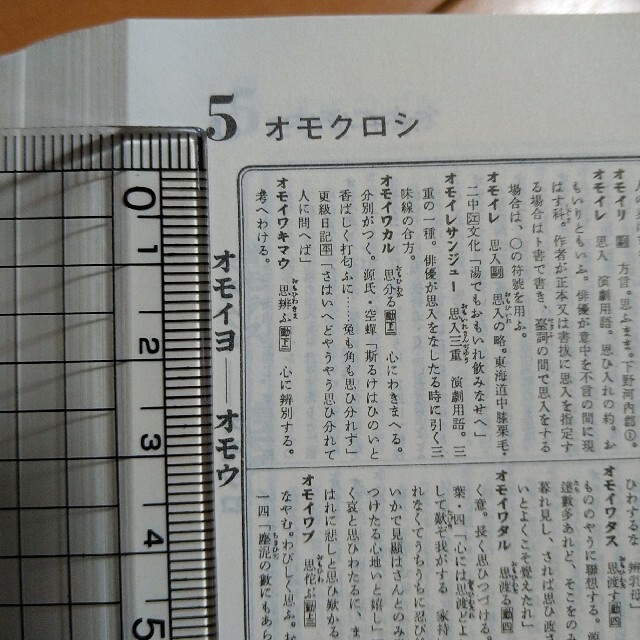 平凡社　大辞典【上下巻セット】 エンタメ/ホビーの本(語学/参考書)の商品写真