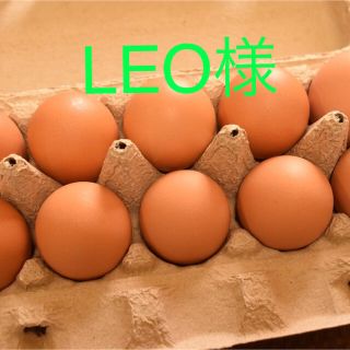 LEO様専用　平飼いたまご50個(野菜)