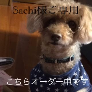 こちらSachi様ご専用です(その他)