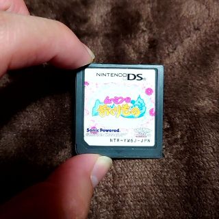 ニンテンドーDS(ニンテンドーDS)のムーミン谷のおくりもの(携帯用ゲームソフト)